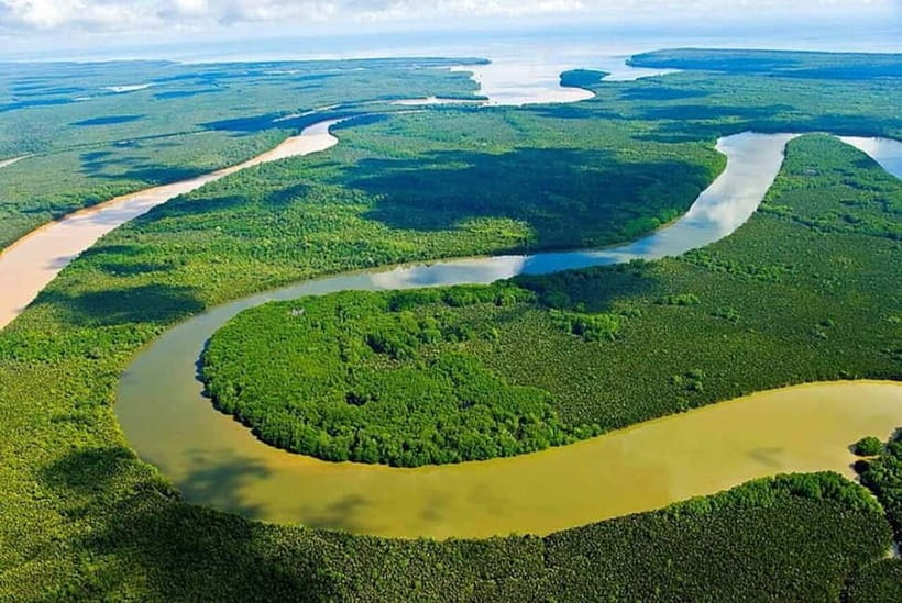 Sandakan: Kinabatangan River Wildlife Cruise with Lunch - The real attraction: wildlife from a river boat
