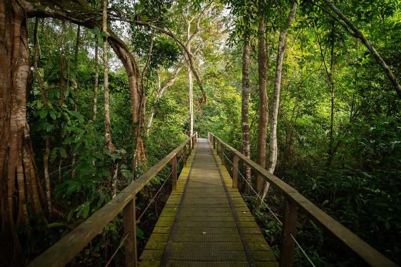 Sandakan: Kinabatangan River Wildlife Cruise with Lunch - Who should book this Sandakan wildlife trip?