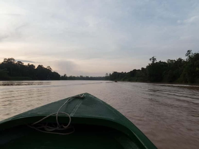 Sandakan: Sukau Rainforest Wildlife Journey & Dawn Cruises - Why the Kinabatangan River Is Worth the Long Ride