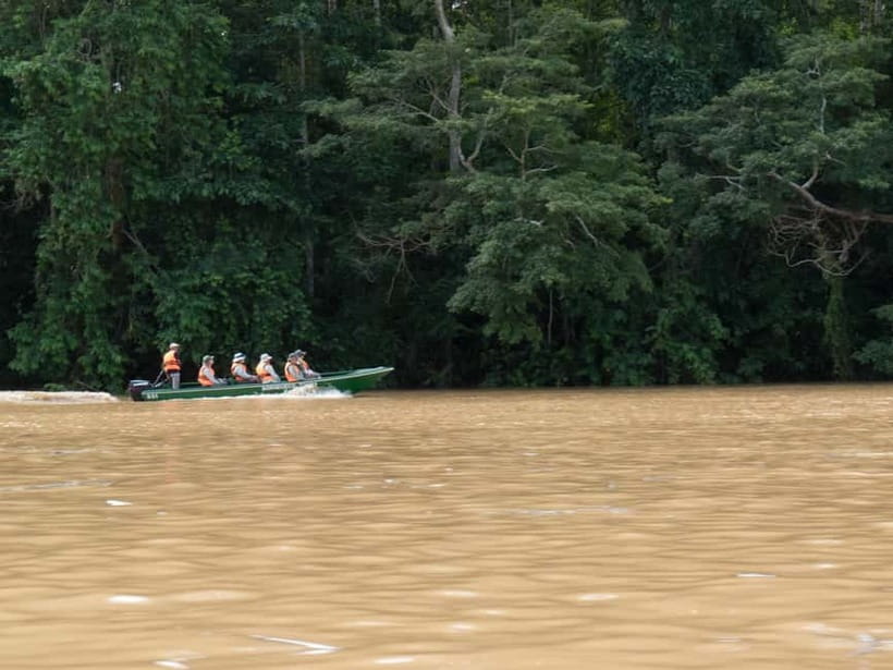 Sandakan: Sukau Rainforest Wildlife Journey & Dawn Cruises - From Sandakan or Sepilok to Sukau