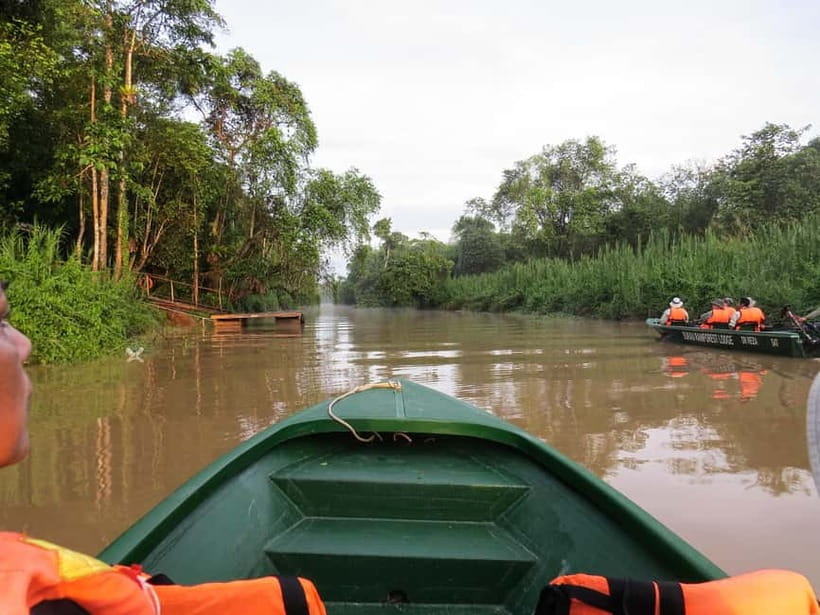Sandakan: Sukau Rainforest Wildlife Journey & Dawn Cruises - Should You Book It?