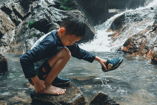Secluded Waterfall Adventure - The 45-minute walk through the forest