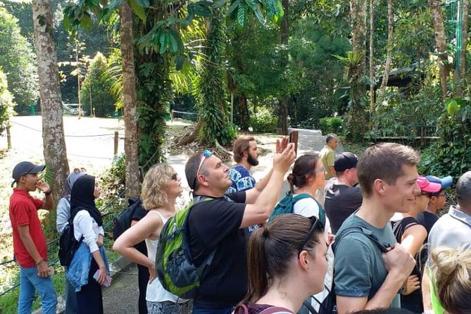 Semenggoh Orangutan Centre from Kuching - Reaching the 9:00 feeding session