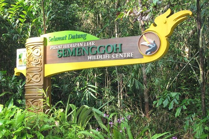 Semenggoh Wildlife Centre: Orangutan Discovery from Kuching - Is the USD 69.96 price good value?