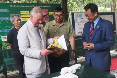 Semenggoh Wildlife Centre Tour: Discover Sarawak’s Orangutans