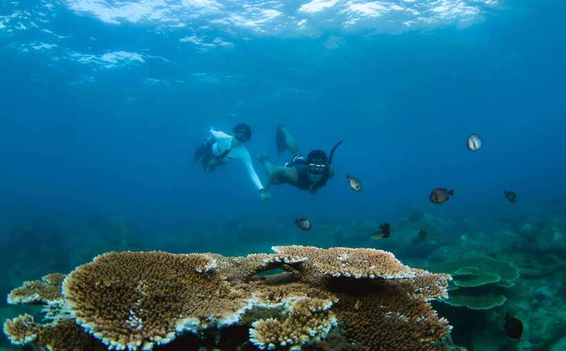 Semporna: Explore 3 Islands Tour Snorkel or Dive & Lunch - Key points at a glance