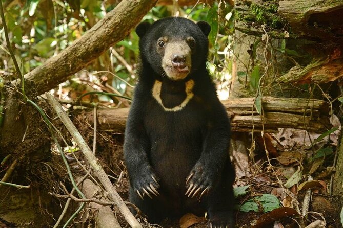 Sepilok Orang Utan, Sun Bear & Sandakan Nature City Tour + Lunch - St. Michael’s Church and Sandakan’s older city
