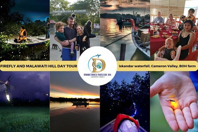 Shared Fireflies Tour with Blue Tears and Seafood Dinner - What to wear and bring