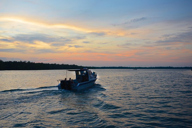 Shared Mangrove & Irrawaddy Dolphin Watching Cruise - Key points to know before booking
