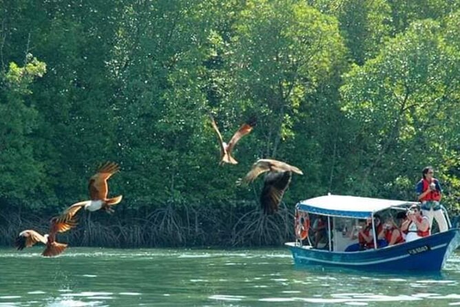 Sharing Half Day Kilim Geoforest Park Mangrove Boat Tour - Sharing boat or private boat?