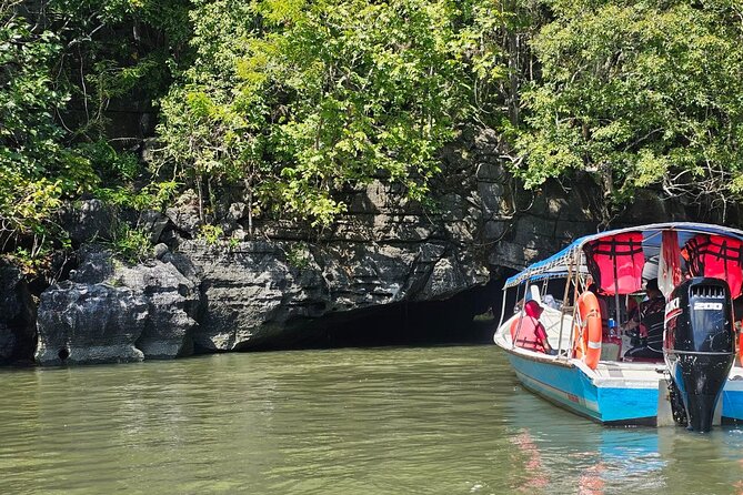 Sharing Half Day Mangrove Boat Tour With Lunch in Langkawi - Key points to know before you book