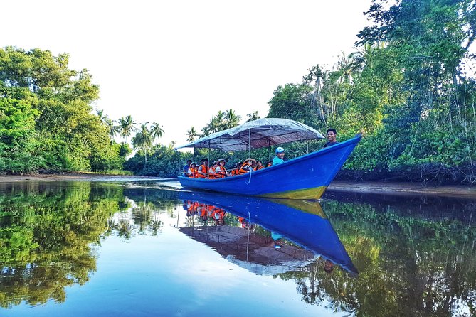 Sky-Mirror Photographing and Proboscis Monkey & Fireflies Watching River-Cruise - Key points to know before you book