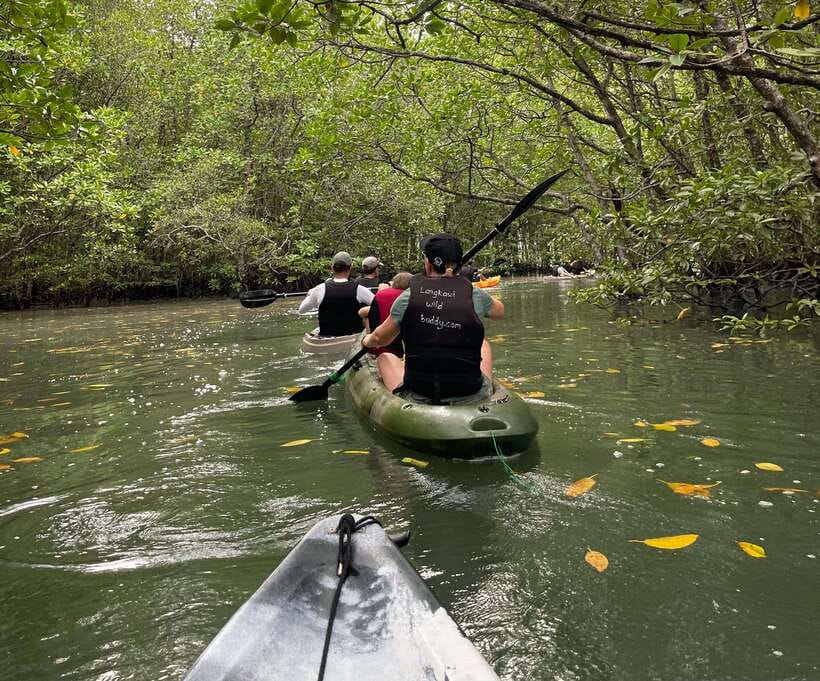 Small Group, Big Heart: Kilim Karst Mangrove Kayak Adventure - Bat Cave and the limestone world