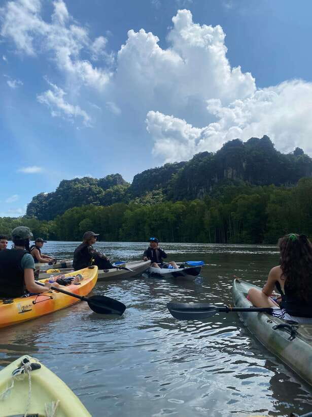 Small Group, Big Heart: Kilim Karst Mangrove Kayak Adventure - From the green food court to the mangroves