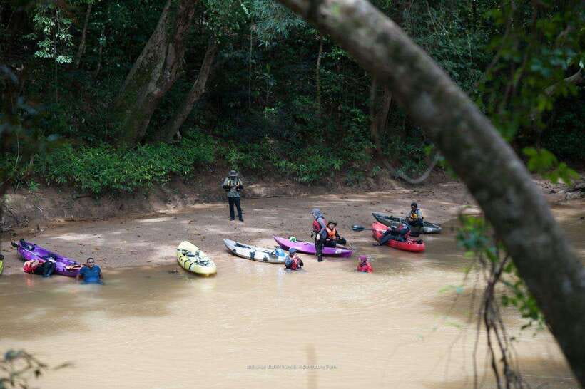 Sungai Berang Wildlife & Cultural Kayak Tour - A quiet way to meet Sungai Berang