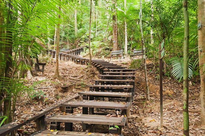 Taman Negara Day Tour with Canopy Walk - Why this rainforest day is worth the long ride