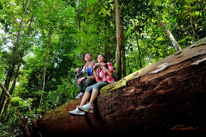 Taman Negara Day Trip from Kuala Lumpur with Lunch - Lunch, transport, and the real value of $205