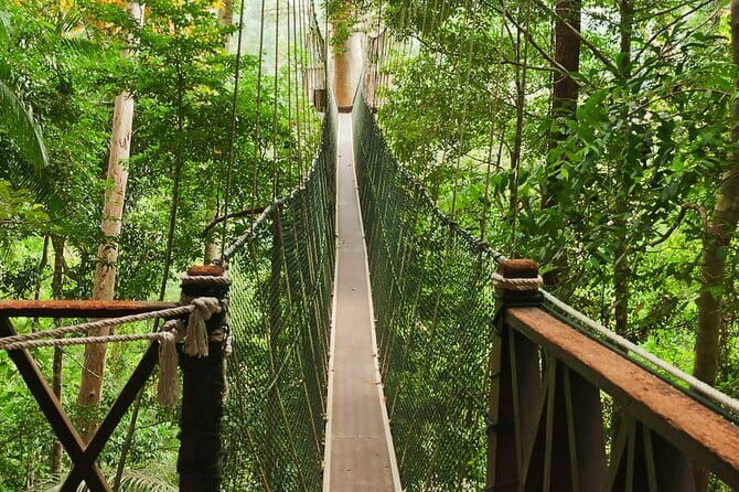 Taman Negara National Park Day Excursion from Kuala Lumpur PVT - Why Taman Negara makes a worthwhile day trip from Kuala Lumpur