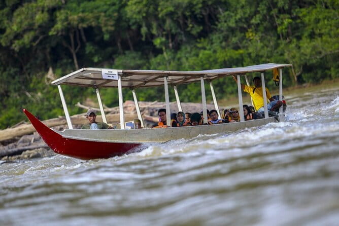 Taman Negara National Park Day Excursion from Kuala Lumpur PVT - Arriving at the rainforest