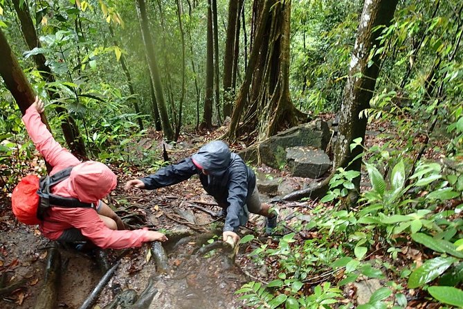 Templer Park and Kanching Waterfall Tour with Batu Caves Stopover - Kanching Waterfall and the chance to swim
