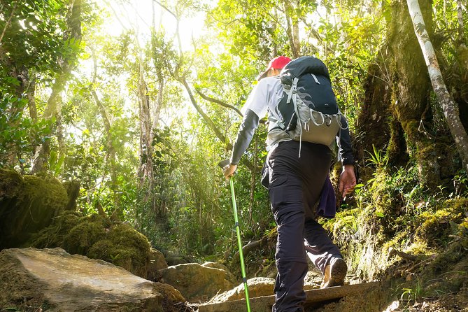 Templer Park and Kanching Waterfall Tour with Batu Caves Stopover - What the private vehicle adds