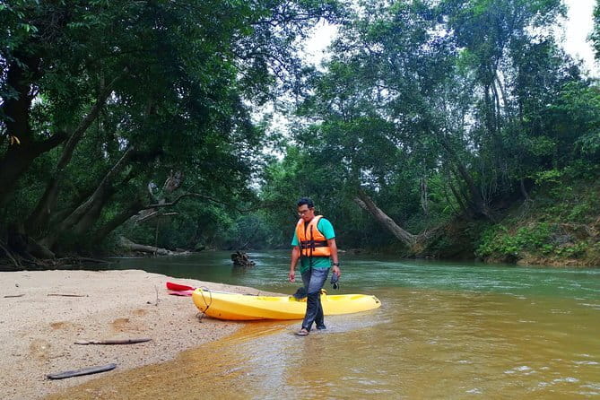 Terengganu Wildlife Kayak Tour - Why Sungai Berang Works So Well for Wildlife Watching