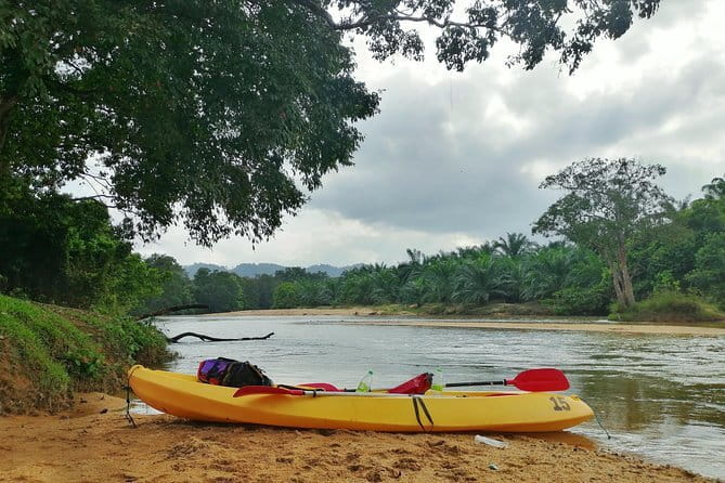 Terengganu Wildlife Kayak Tour - A 9:15 am Start at Ajil