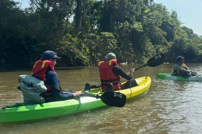 Terengganu Wildlife Kayak Tour - What a Class I River Means for You