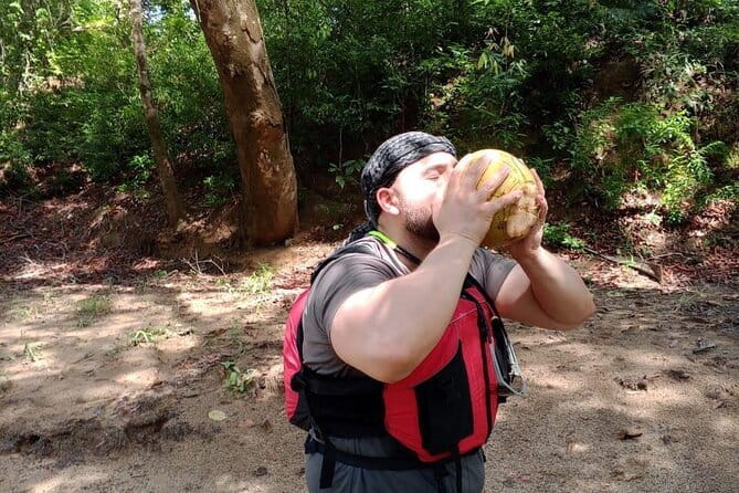 Terengganu Wildlife Kayak Tour - Eagles, Hornbills, and Kingfishers Overhead