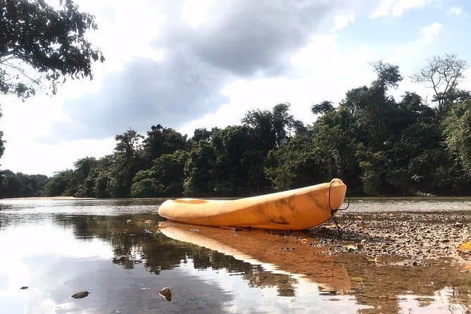 Terengganu Wildlife Kayak Tour - Getting to the River With Transport Included