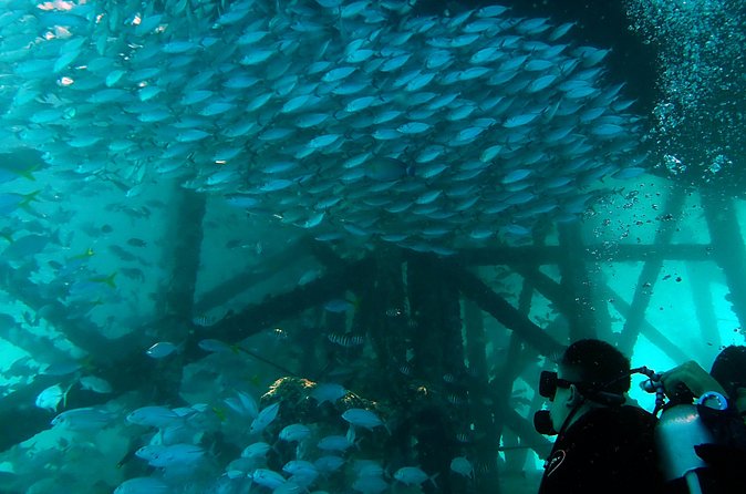 TRY SCUBA (non diver) - Snorkeling after the main scuba sessions