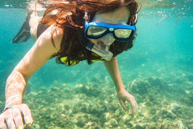 Tunku Abdul Rahman Park 2 Islands Hopping Tour from Kota Kinabalu - Who should book this island trip?