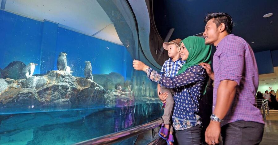 Underwater World Langkawi Admission Ticket - Inside Langkawi’s large seawater tunnel