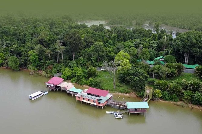 Wildlife & Wonders: Orang Utan Island + Perak Cave Temple Tour - Should you book the Orang Utan Island tour?